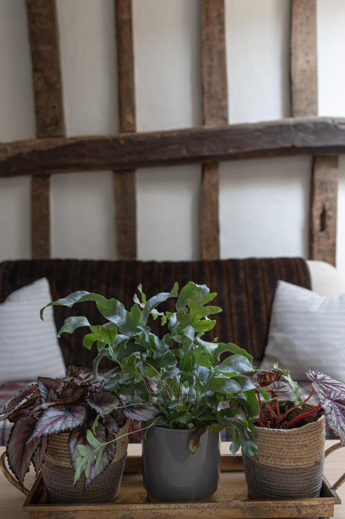 Saltmarsh Farmhouse Westdean Exterior photo